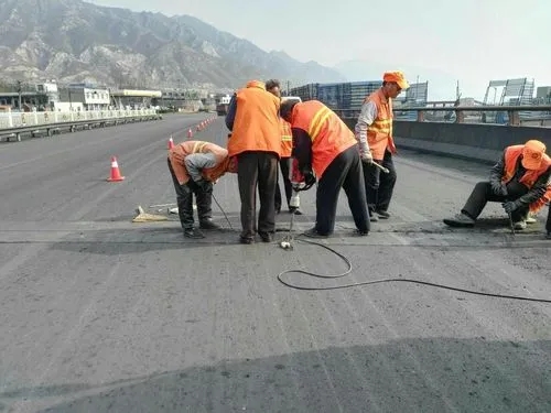 贵南道路桥梁病害治理